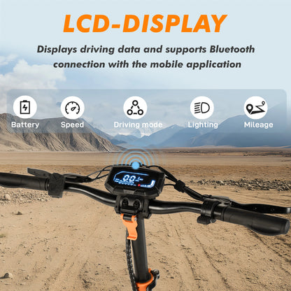 vankel E-Scooter 1600W Dual Motor 48V20Ah Battery Foldable Electric Scooter 10 inch Off-road Tire Double Suspension Escooters